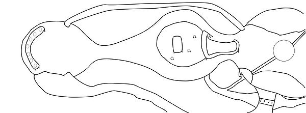 Super Duper Rough Map